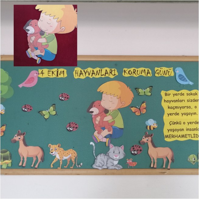 InShot_20191007_234514903