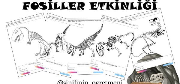 FOSİLLER DERS İÇİ ETKİNLİK